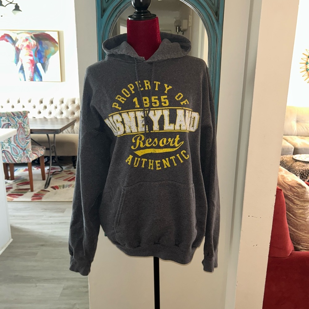 Disneyland Resort Hoodie